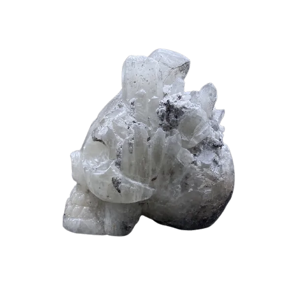 crâne en cristal de roche, profil 3 | Dans les Yeux de Gaia
