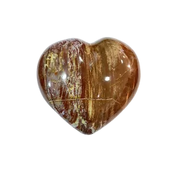 Coeur en Bois Fossile | Sphères, Oeufs, et Coeurs | Dans les yeux de Gaïa