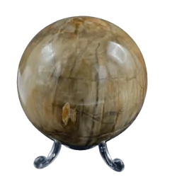 Sphère en Bois Fossile SBF4