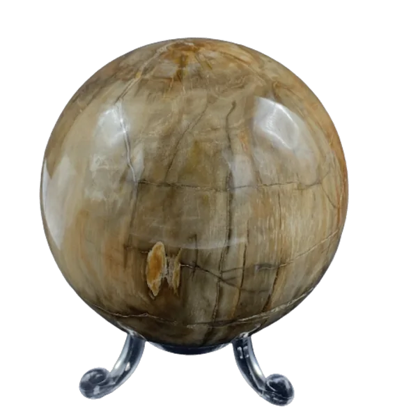 Sphère en Bois Fossile -2| Sphères, Oeufs, et Coeurs | Dans les yeux de Gaïa