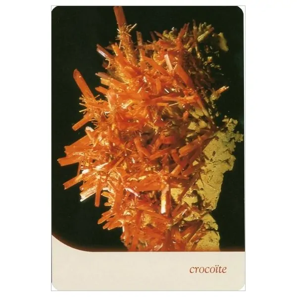 Carte "Crocoïte" de l'oracle des cristaux de Toni Carmine Salerno | Dans les Yeux de Gaia
