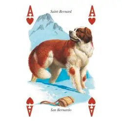 Playing card collection Chiens