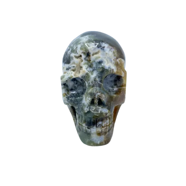 Crâne d'humain en Agate mousse, vue de face | Dans les Yeux de Gaia