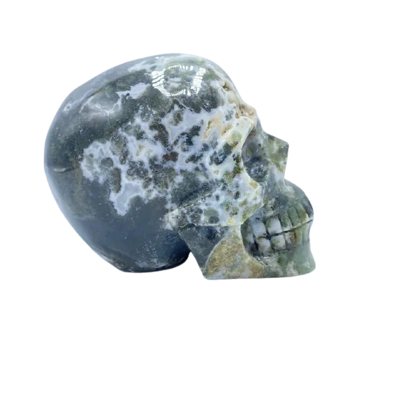 Crâne d'humain en Agate mousse, vue sur le côté droit | Dans les Yeux de Gaia