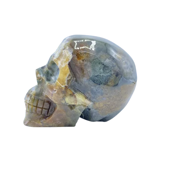 Crâne d'humain en Agate mousse, vue sur le côté gauche | Dans les Yeux de Gaia