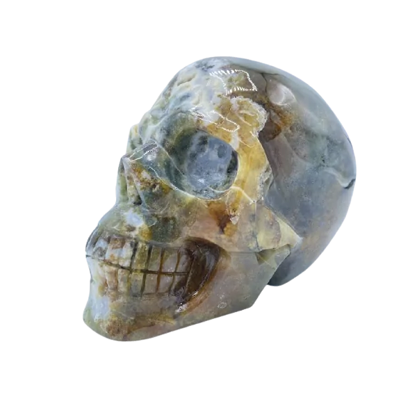 Crâne d'humain en Agate mousse, côté gauche| Dans les Yeux de Gaia
