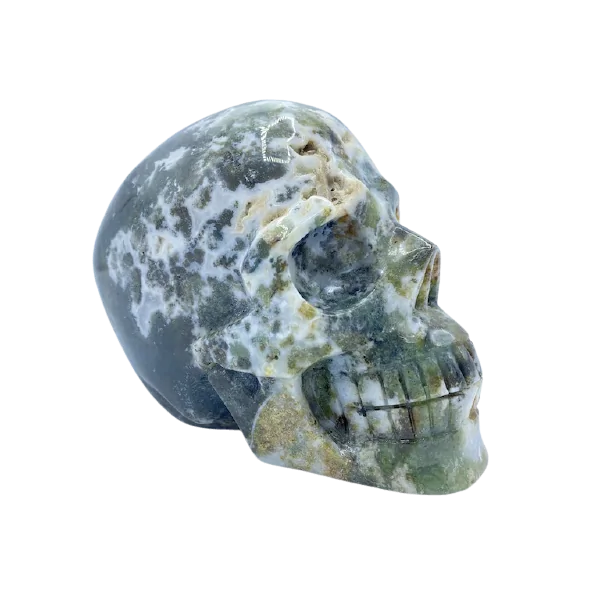 Crâne d'humain en Agate mousse, côté droit | Dans les Yeux de Gaia