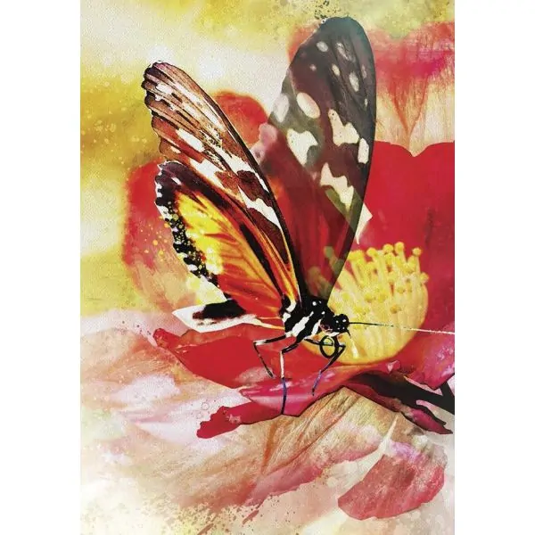 Messages des Papillons - Affirmations Positives des Créatures Ailées | Oracles Guidance / Développement Personnel | Dans les yeu