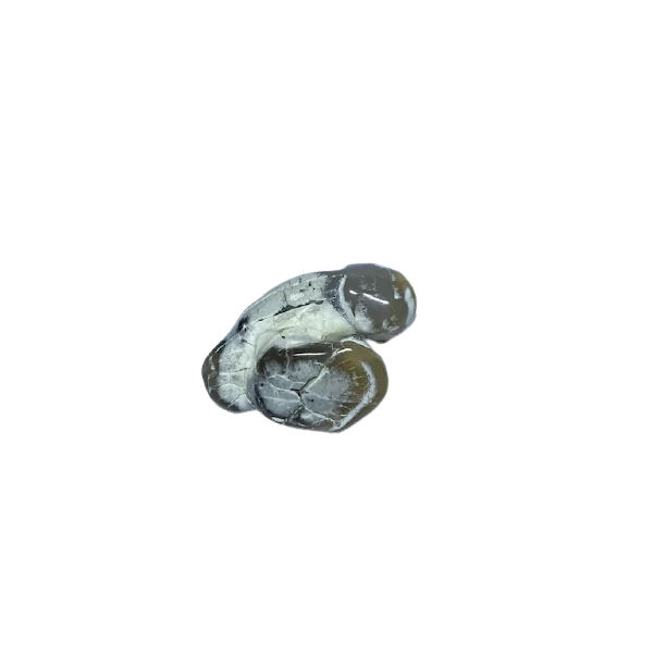 Agate Serpent -2| Minéraux de collection | Dans les yeux de Gaïa