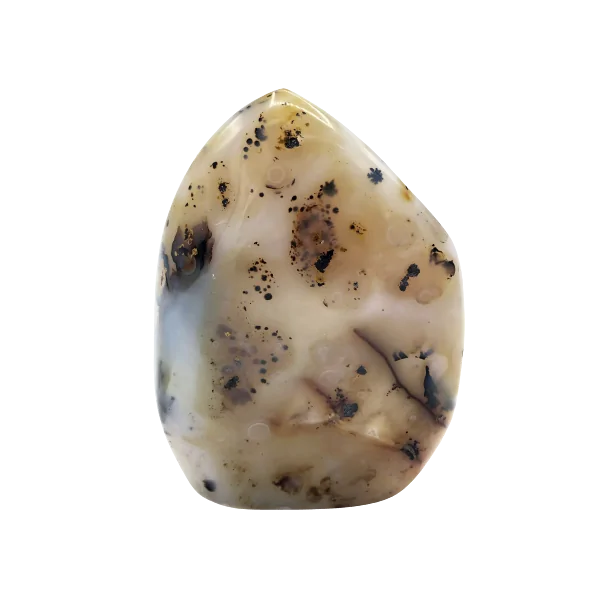 Agate Dendritique (ou Merlinite) | Formes Libres en Minéraux | Dans les yeux de Gaïa