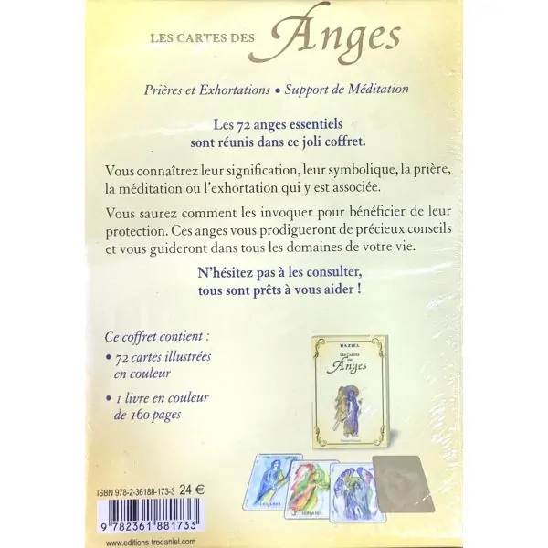 L'oracle les Cartes des Anges de Haziel, vue de dos | Dans les Yeux de Gaia
