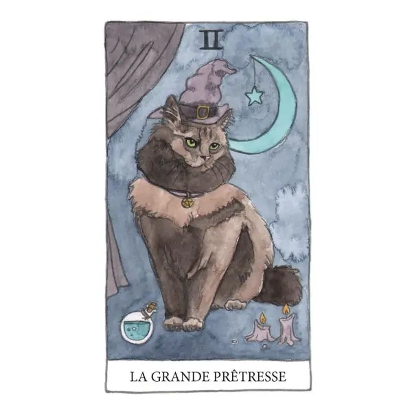 Le Petit Tarot des Chats de Megan Lynn Kott carte| Dans Les Yeux de Gaïa