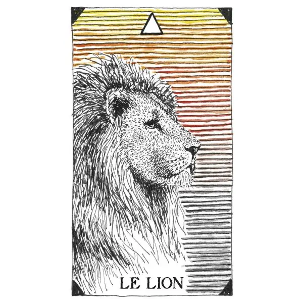 Esprit Animal Sauvage et Inconnu - lion| Dans les Yeux de Gaïa