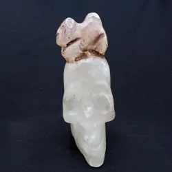 Crâne Cristal de Roche Connexion Divine vue de face | Dans les Yeux de Gaïa