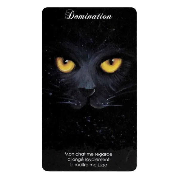 Carte "Domination" de l'Oracle des Haïkus | Dans les Yeux de Gaia