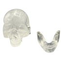 Crâne articulé en Cristal de Roche - dentier et crâne | Dans les Yeux de Gaïa