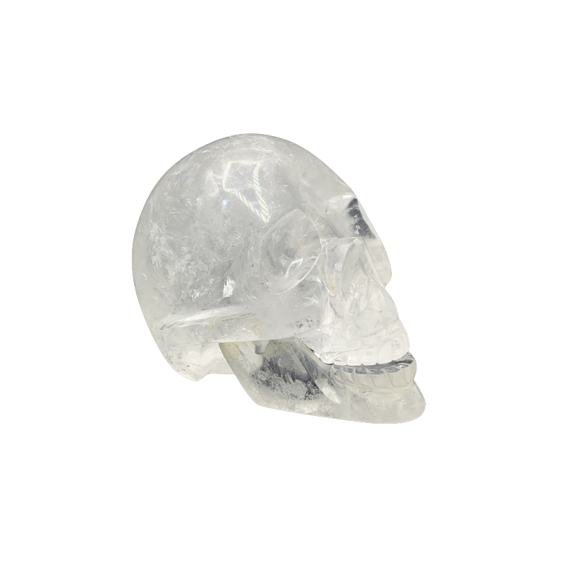 Crâne articulé en Cristal de Roche - de profil | Dans les Yeux de Gaïa