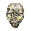 Crâne Alien - photos de face | Dans les Yeux de Gaïa