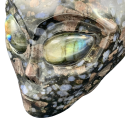 Crâne Alien - photos zoom profil gauche | Dans les Yeux de Gaïa