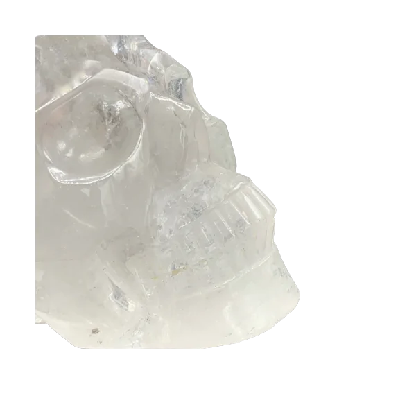 Crâne en Cristal de Roche 2 - Lithothérapie - Sculpture de collection |Dans les Yeux de Gaïa