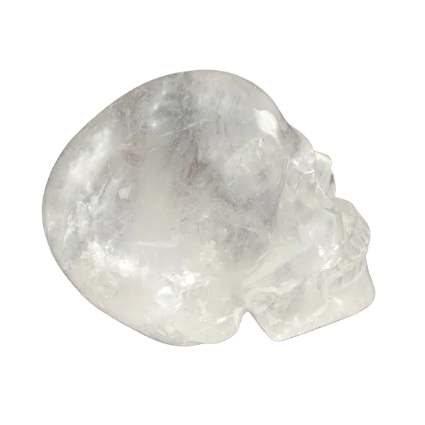 Crâne en Cristal de Roche 4 - Lithothérapie - Sculpture de collection |Dans les Yeux de Gaïa