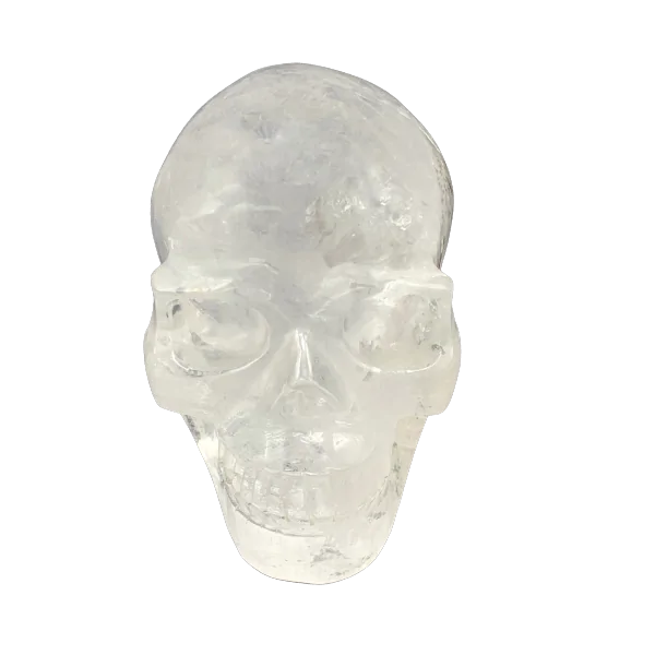 Crâne en Cristal de Roche 1 - Lithothérapie - Sculpture de collection |Dans les Yeux de Gaïa