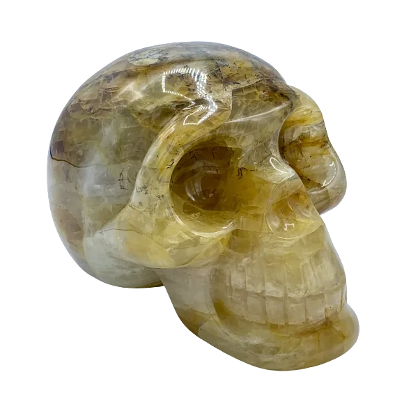 Crâne en Quartz Hématoïde - côté droit | Dans les Yeux de Gaïa