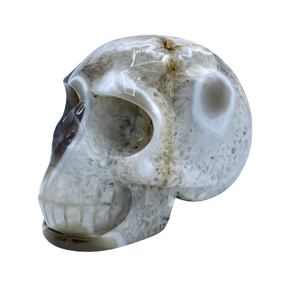 Crâne en Agate - Côté gauche | Dans les yeux de Gaïa
