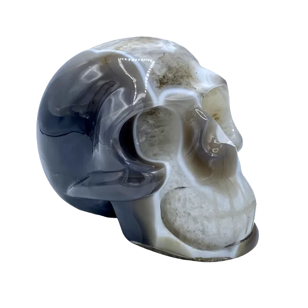 Crâne en Agate - Côté droit | Dans les yeux de Gaïa