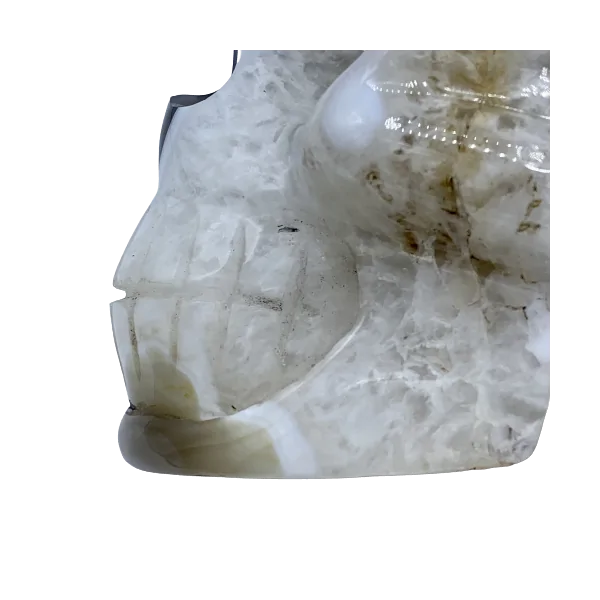 Crâne en Agate - mâchoire | Dans les yeux de Gaïa