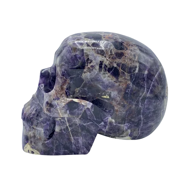 Crâne en Améthyste - de gauche | Dans les Yeux de Gaïa