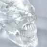 Crâne en Cristal de Roche 5 - Dans les Yeux de Gaïa