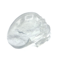 Crâne en Cristal de Roche 3 - Dans les Yeux de Gaïa
