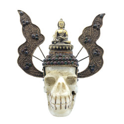 Crâne ancien népalais en...