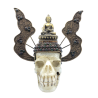 Crâne ancien népalais en cristal de roche de L'Himalaya 3kg