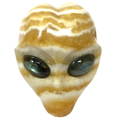 Crâne d'alien en calcite jaune | Dans les Yeux de Gaïa