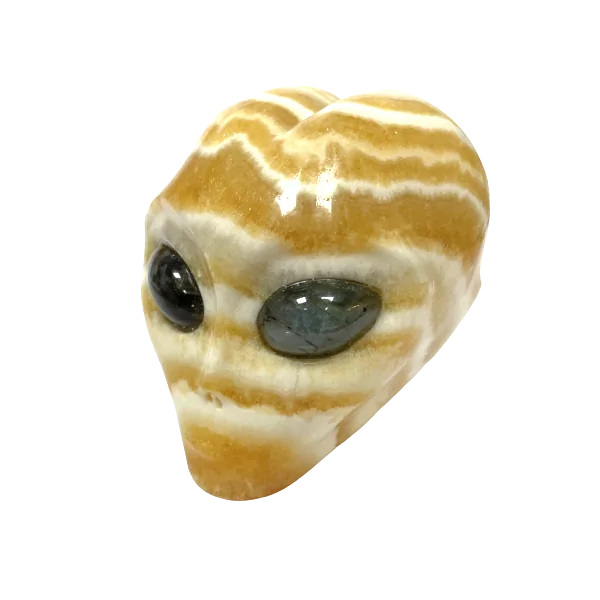 Crâne d'alien en calcite jaune profil1| Dans les Yeux de Gaïa