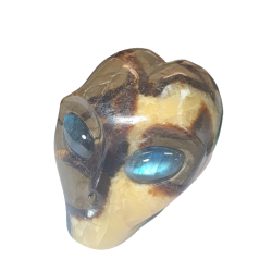 Crâne Alien en Septaria  - face| Dans les yeux de Gaïa