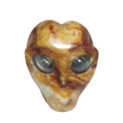 Crâne Alien en Jaspe Océan - face | Dans les yeux de Gaïa