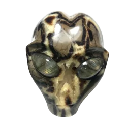 Crâne Alien en Septaria CA72