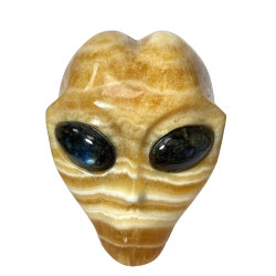 Crâne Alien en Calcite Jaune | Dans les Yeux de Gaïa 1