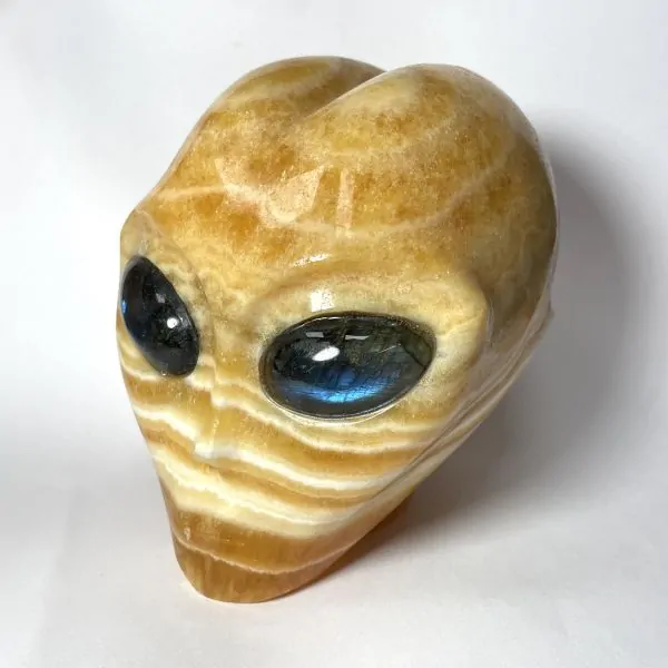 Crâne Alien en Calcite Jaune | Dans les Yeux de Gaïa 3
