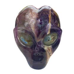 Crâne alien en fluorite | Dans les Yeux de Gaïa 1