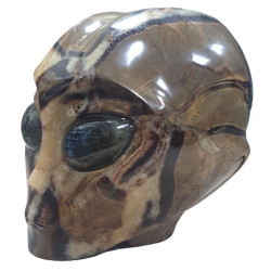 Crâne Alien en Septaria