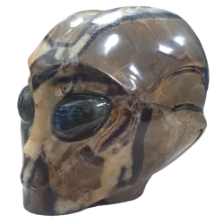 Crâne Alien en Septaria CA73