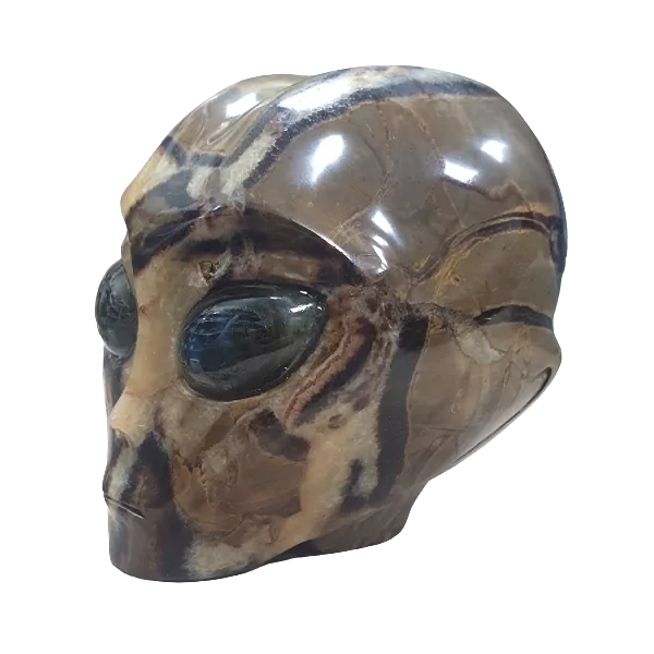 Crâne Alien en Septaria - profil | Dans les yeux de Gaïa