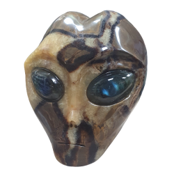 Crâne Alien en Septaria -  face| Dans les yeux de Gaïa