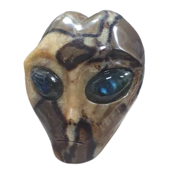 Crâne Alien en Septaria - face| Dans les yeux de Gaïa