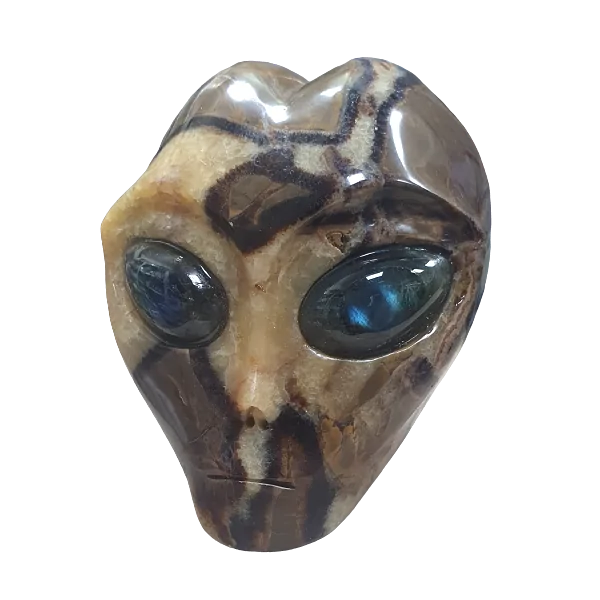 Crâne Alien en Septaria - face| Dans les yeux de Gaïa
