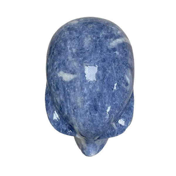Crâne alien en calcite bleue 6,1 kg | Crânes de Cristal | Dans les yeux de Gaïa